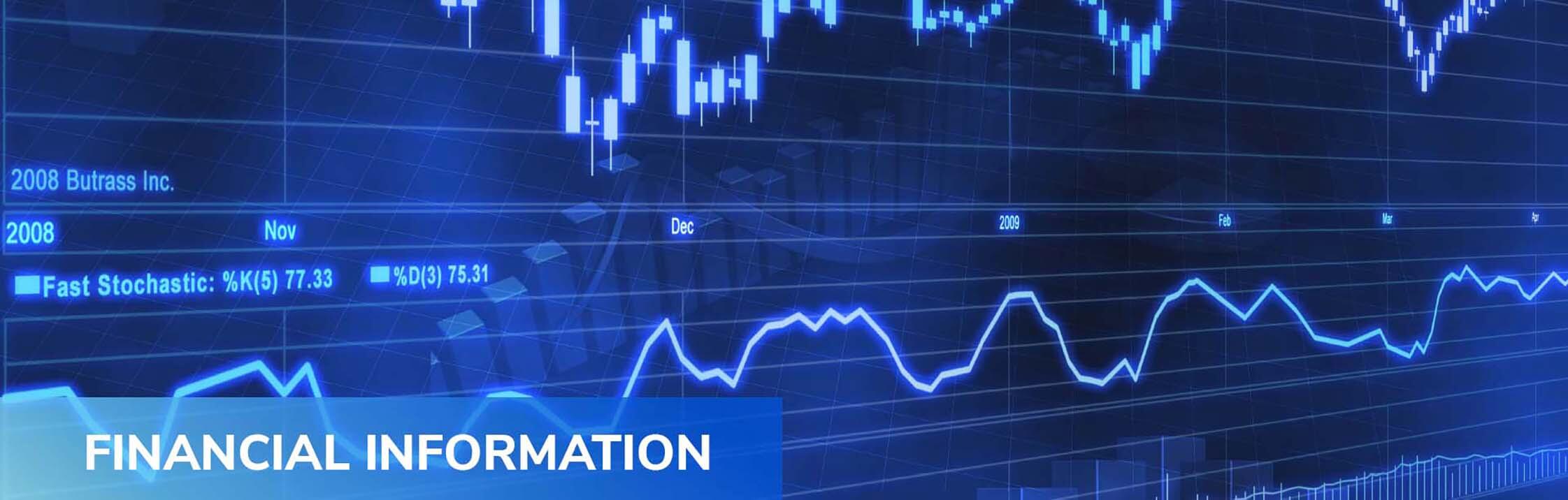 financial information financial information