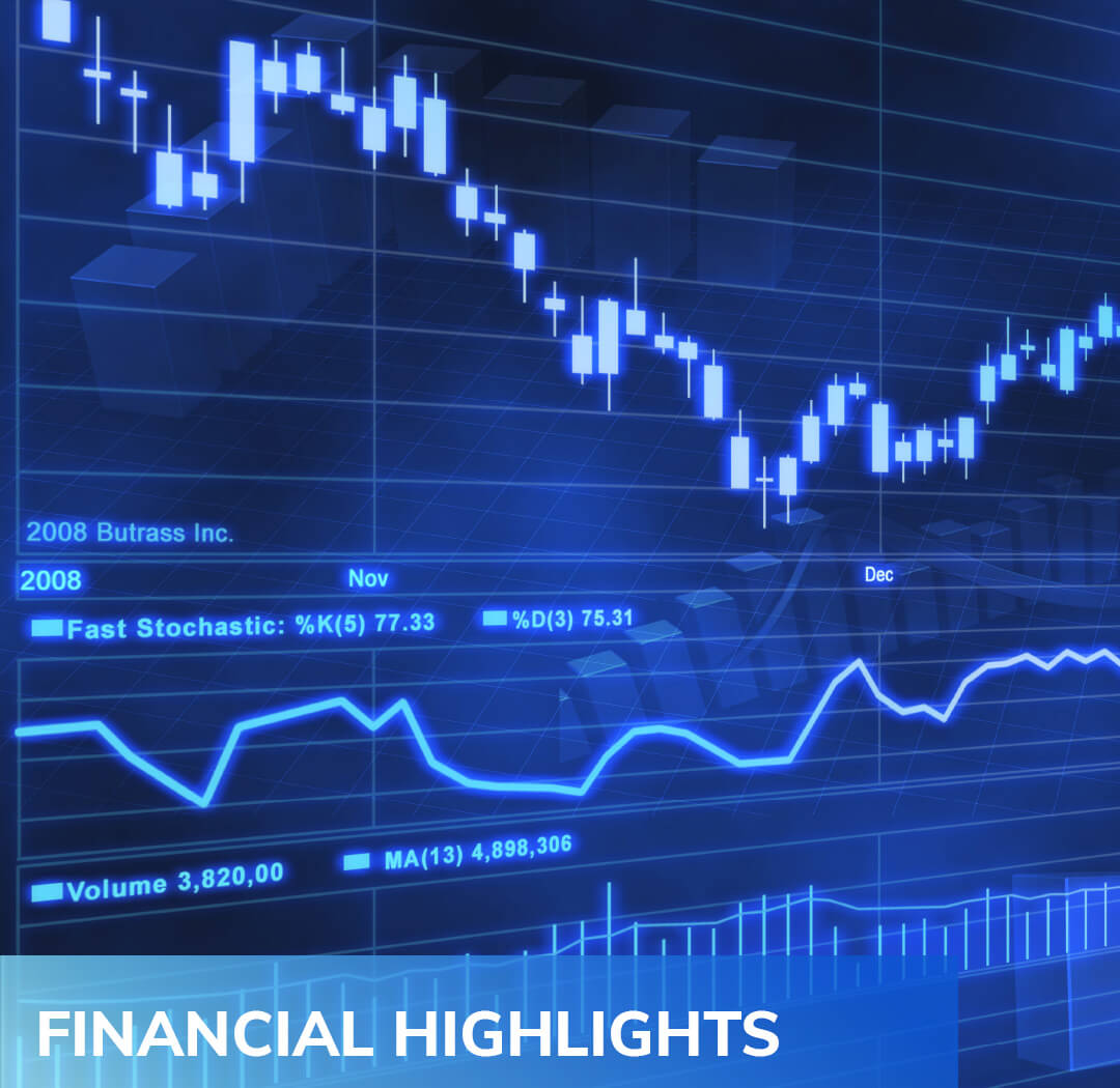 Financial Highlights