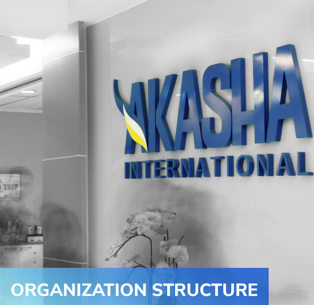 Organization Structure Organization Structure